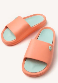 CHANCLAS TIPO PALA GILL